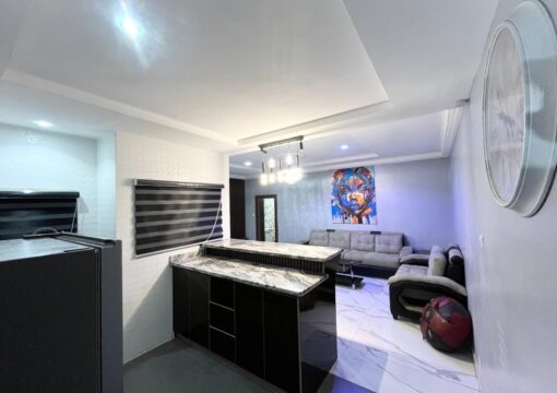 Magnificent Apartment (Deluxe Royal)